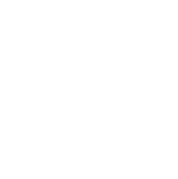 BEEROOT